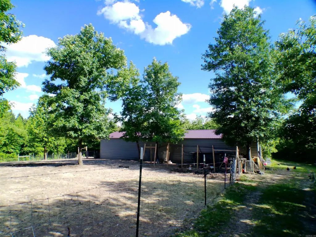 Picture 8