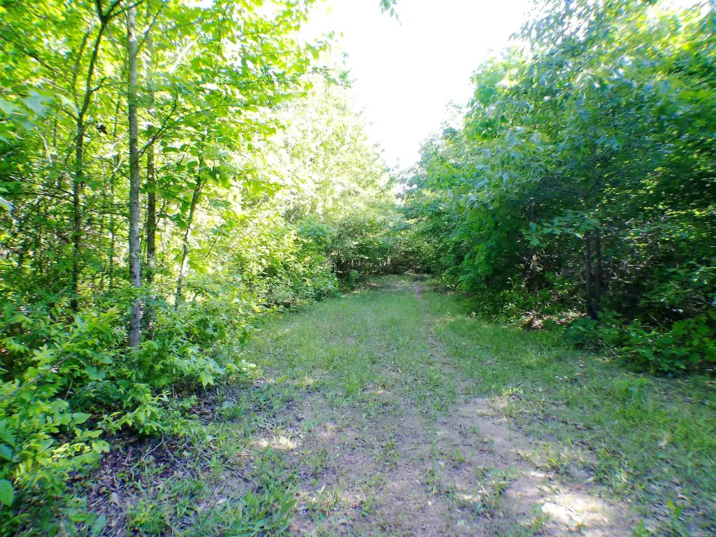 Picture 10