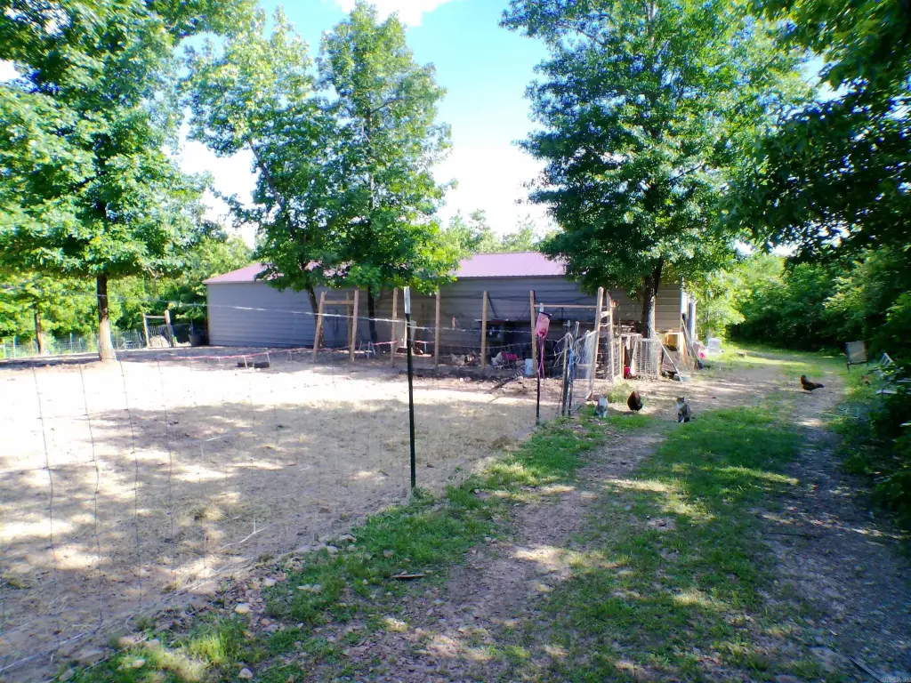 Picture 9