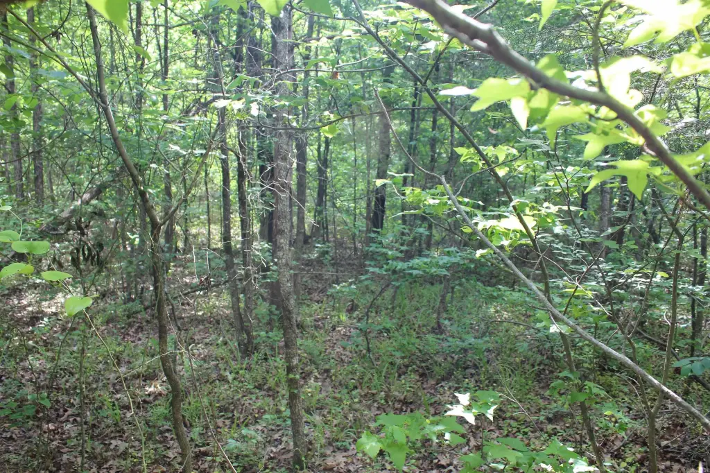 Picture 13