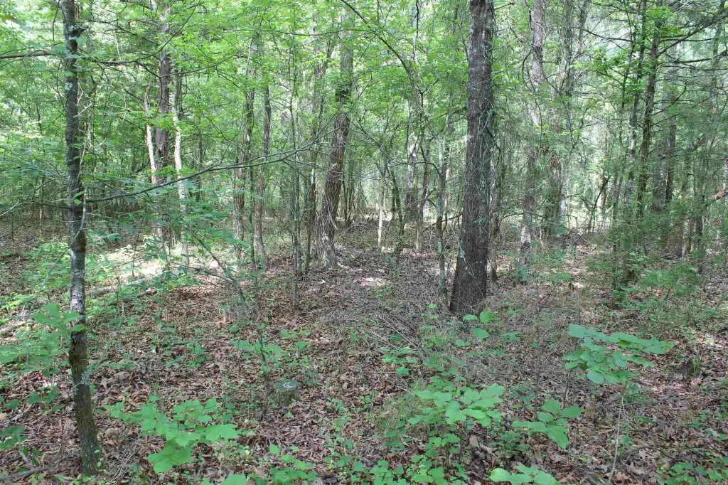 Picture 21