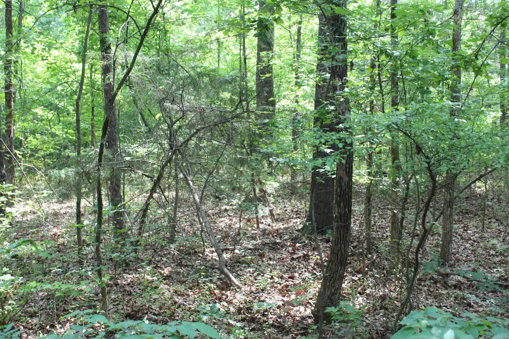 Picture 8