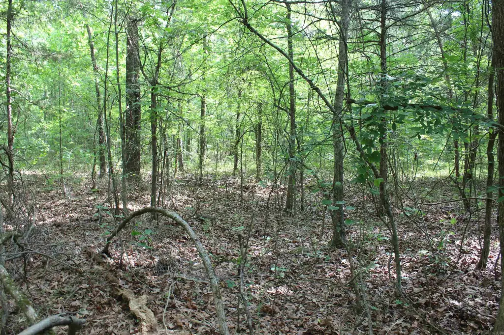 Picture 28