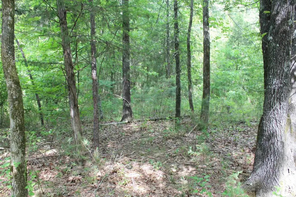 Picture 19