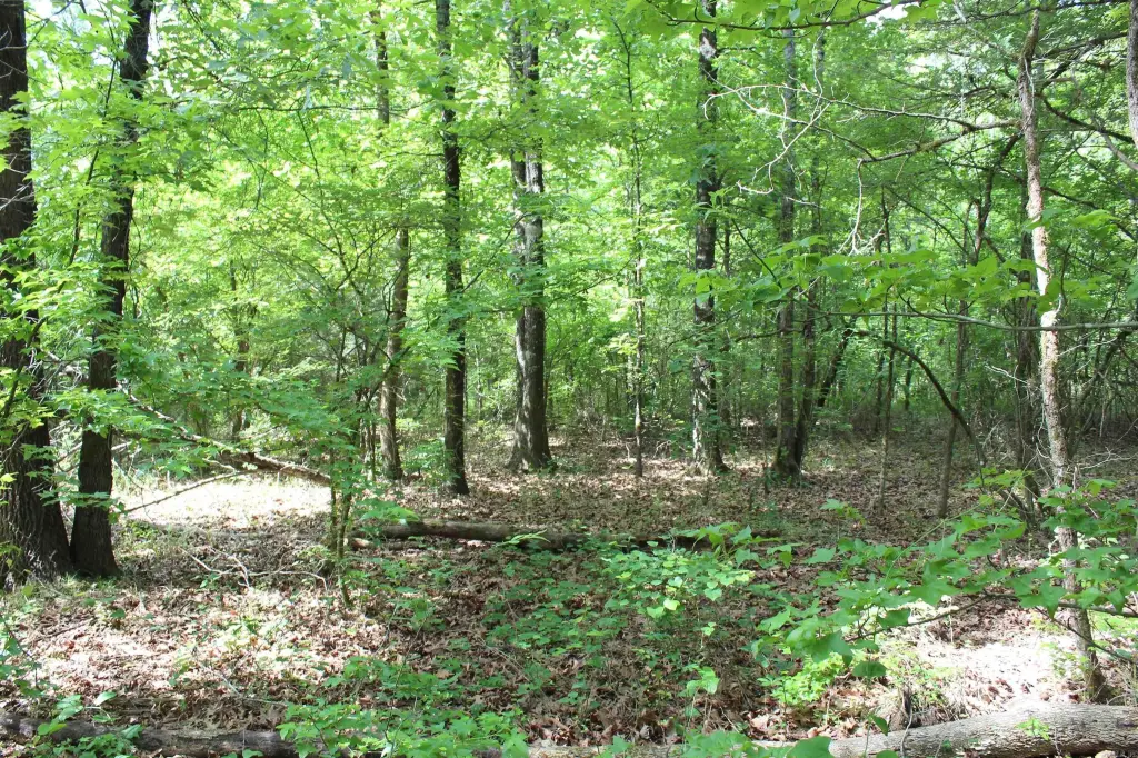 Picture 22
