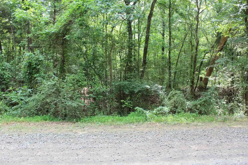 Picture 31