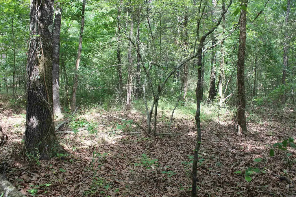Picture 25