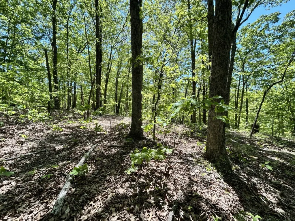 Picture 16