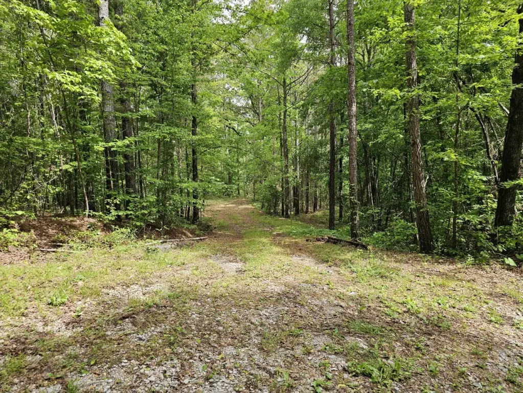 Picture 27