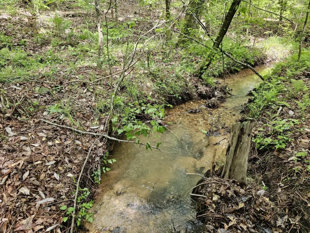 Picture 23