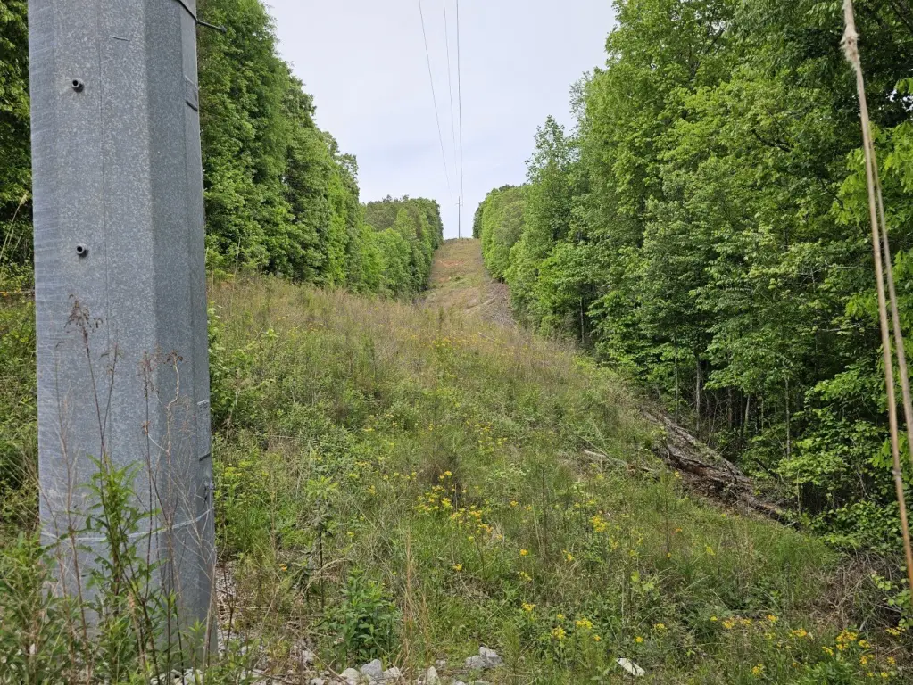 Picture 5