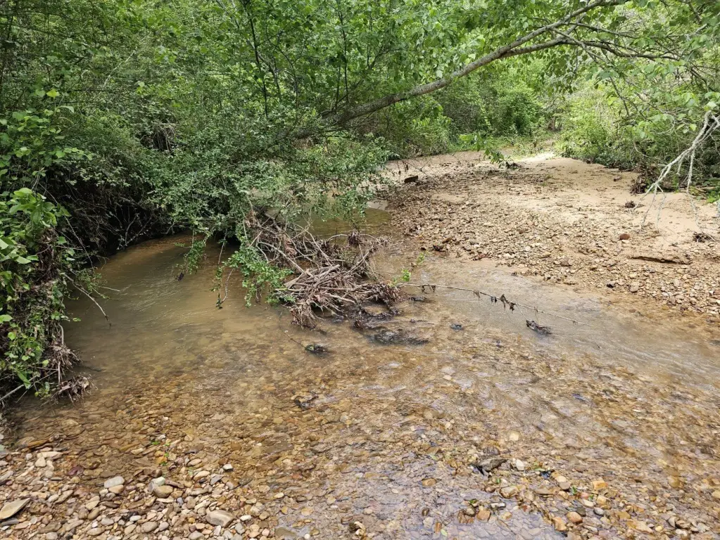Picture 22