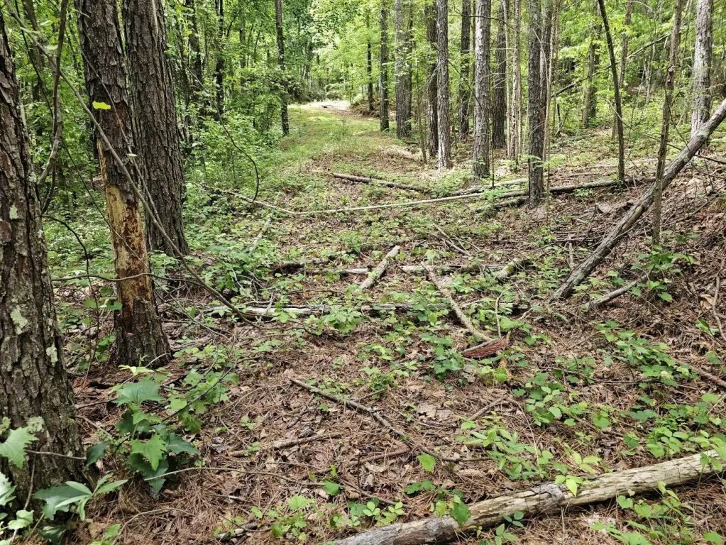 Picture 21