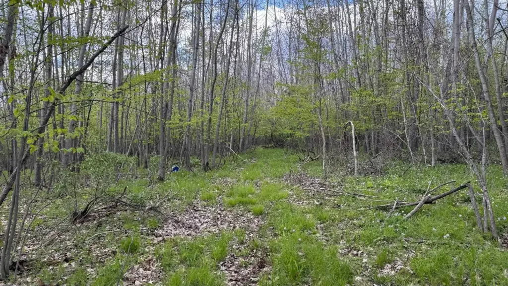 Picture 14