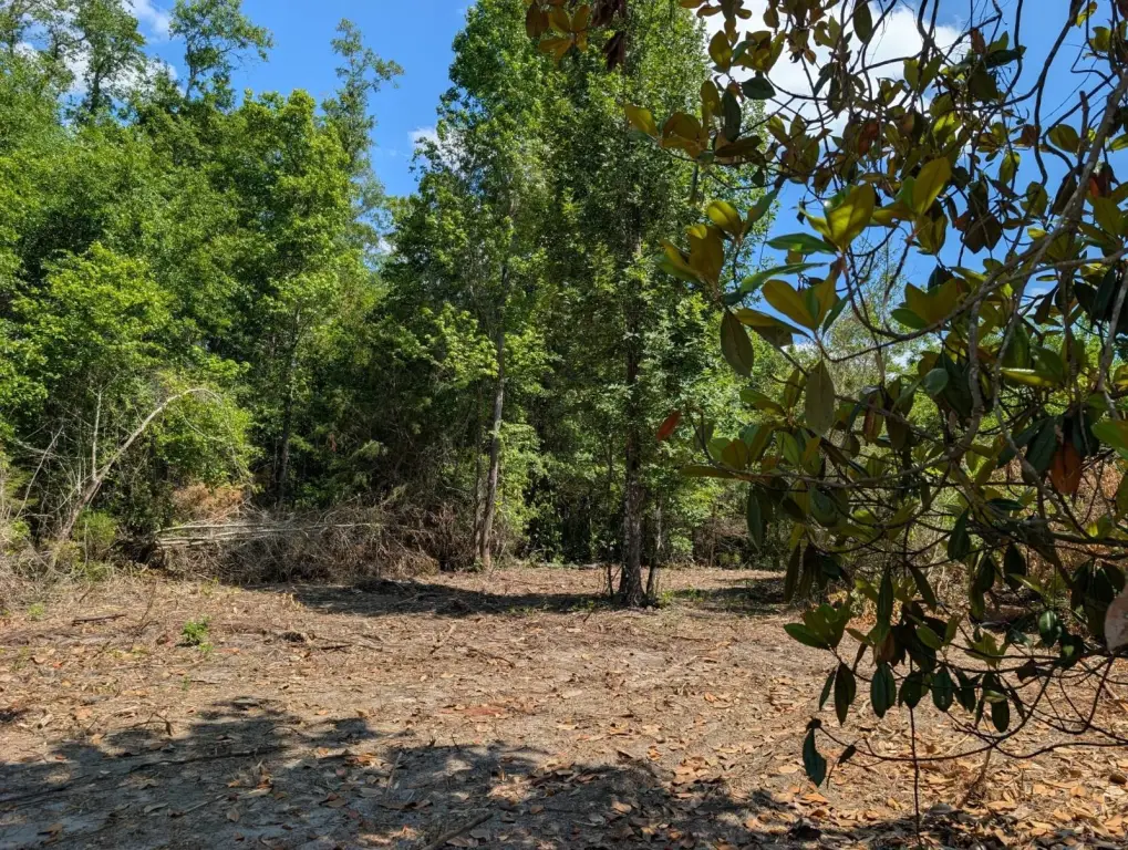 Picture 21