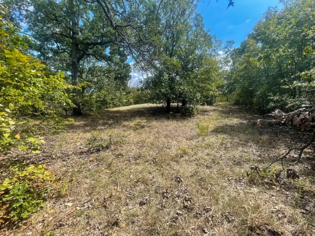 Picture 18