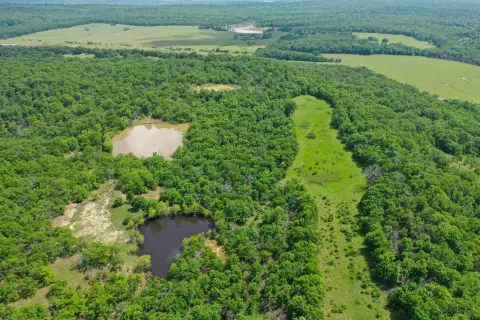 Secluded Hunting Land in Wardville, OK