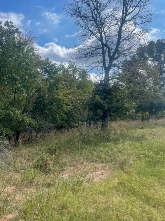 Picture 28
