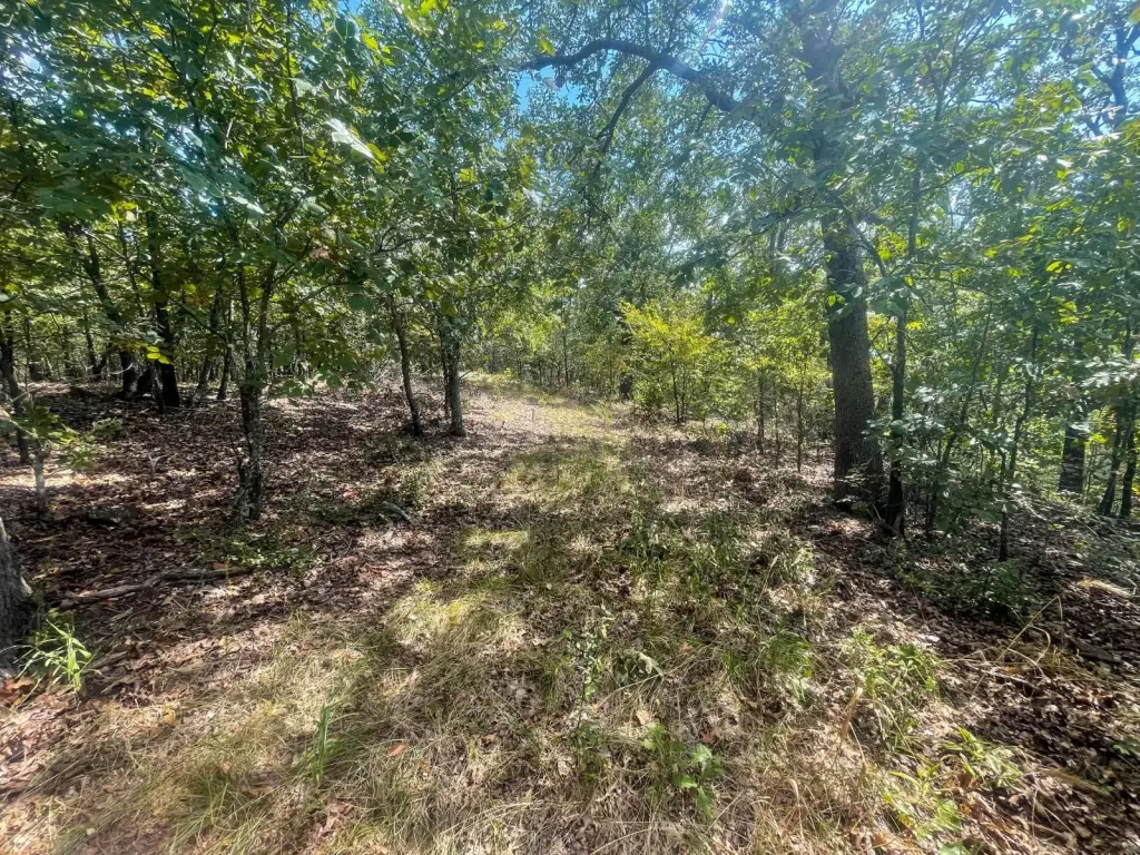 Picture 19