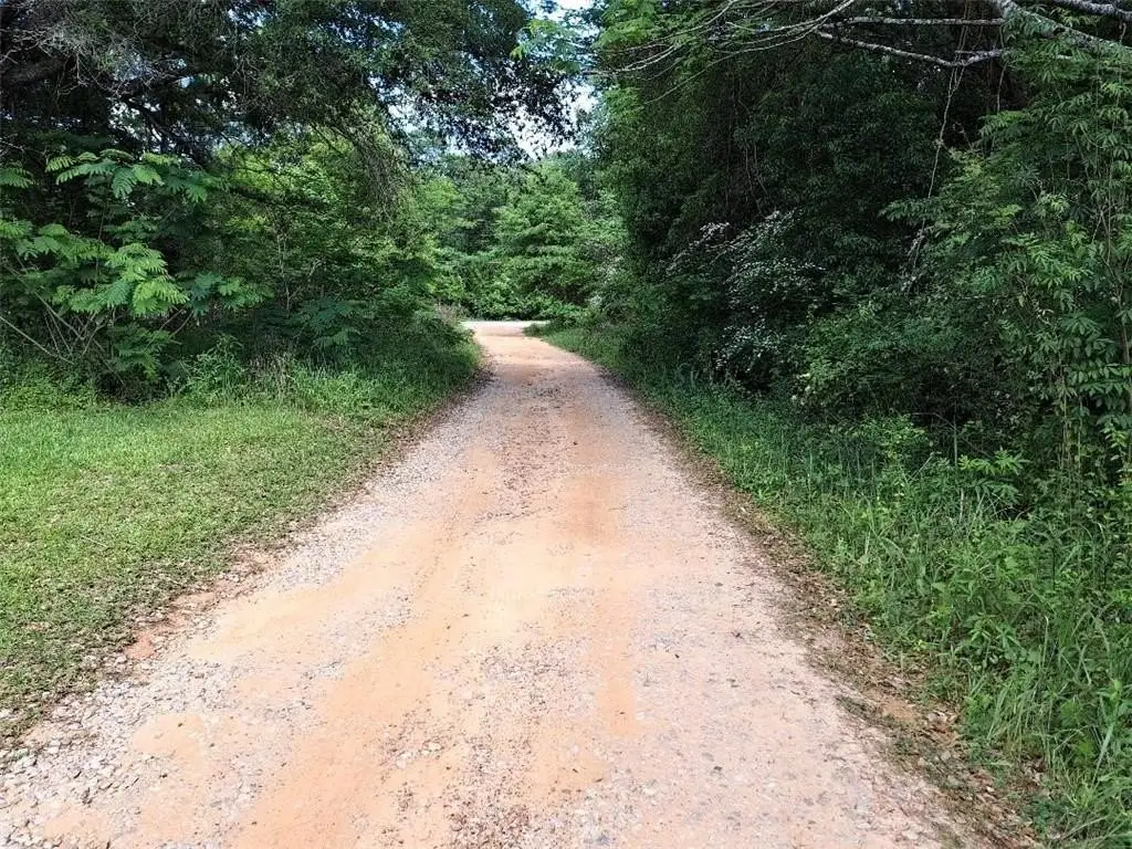 Picture 4