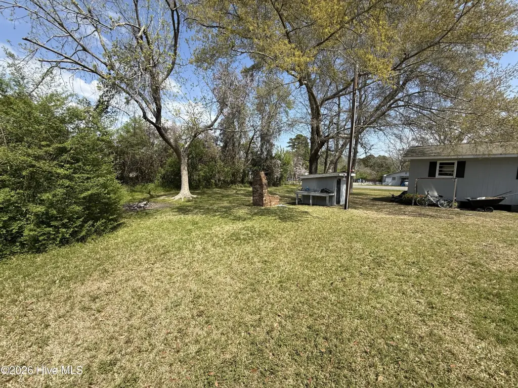 Picture 15