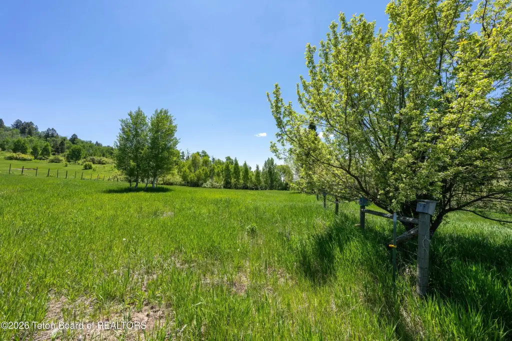 Picture 21