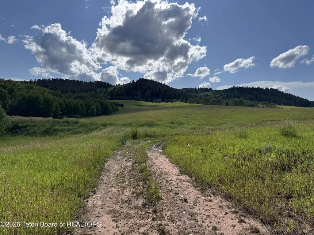 Picture 10