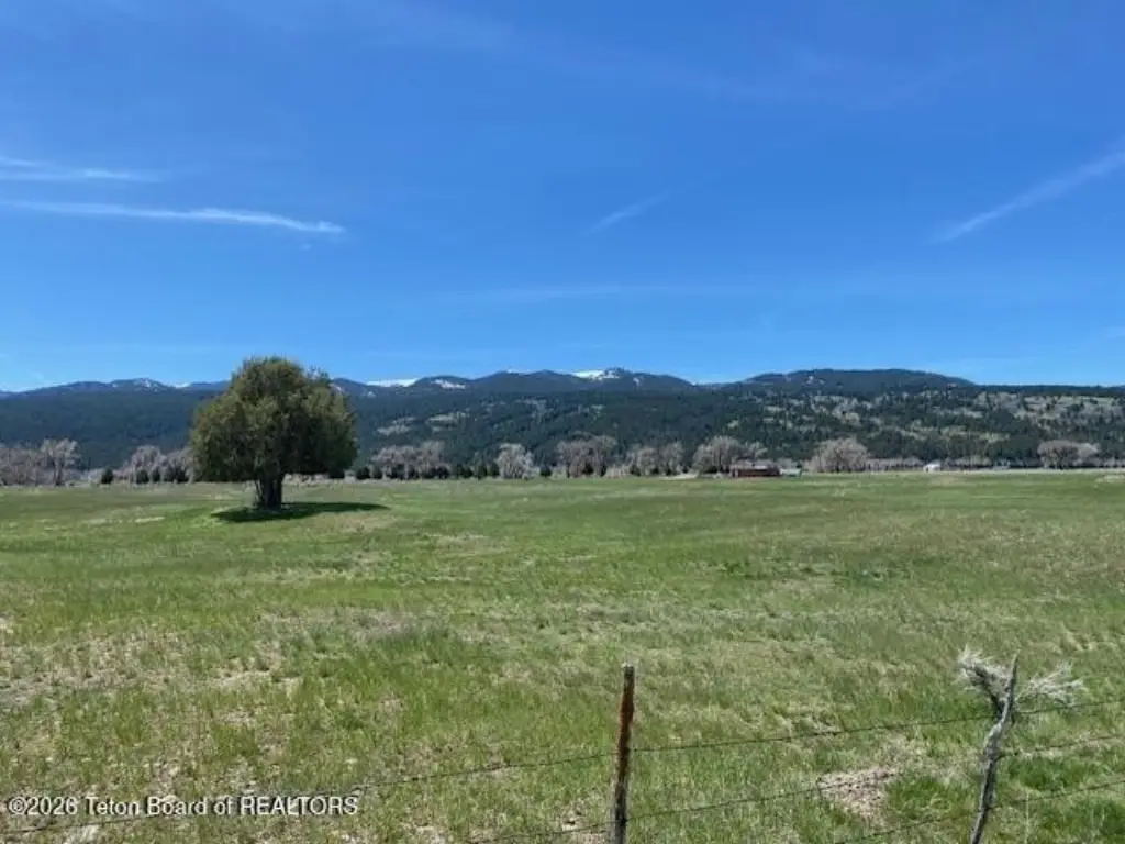 Picture 2
