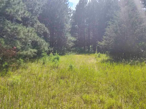 Wooded Lot Near Petenwell Lake