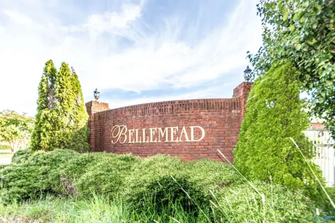 Residential Lot in Albertville, AL