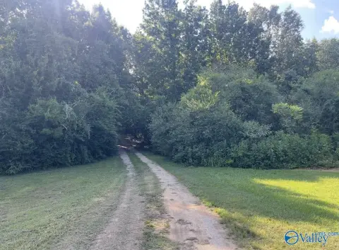 Guntersville Recreational and Hunting Land