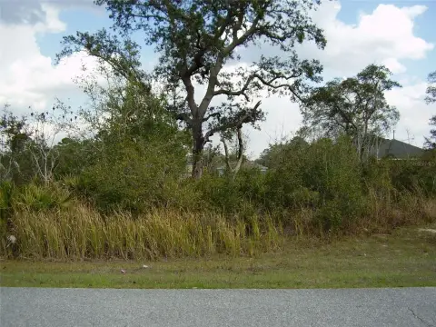 Residential Land in Poinciana
