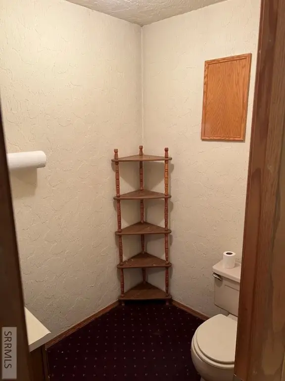 Picture 8