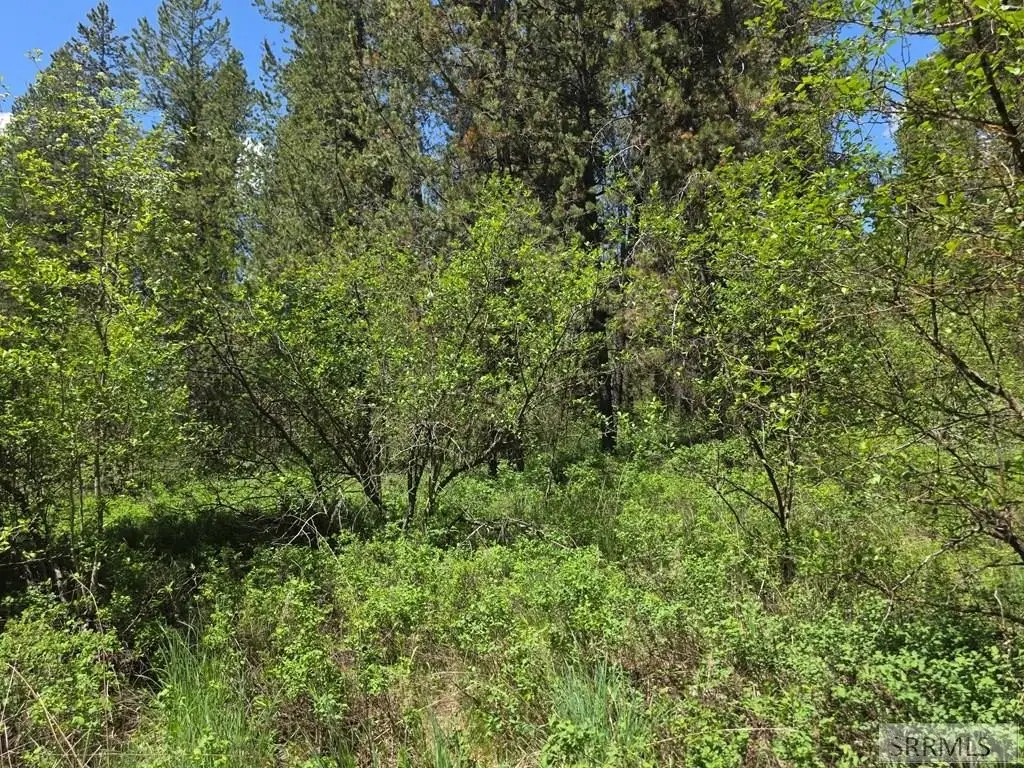 Picture 15