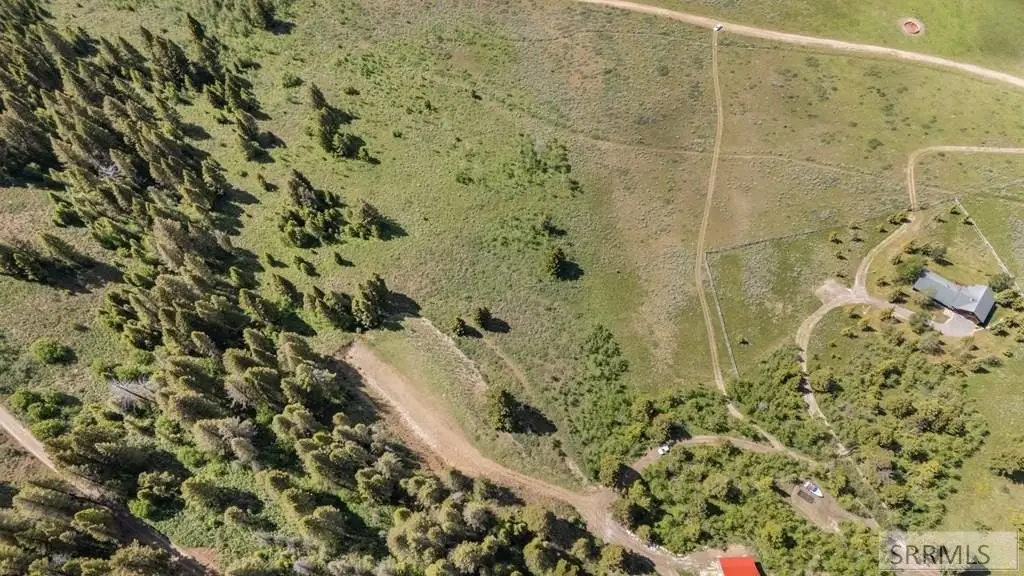 Picture 5