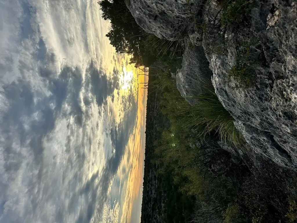 Picture 13