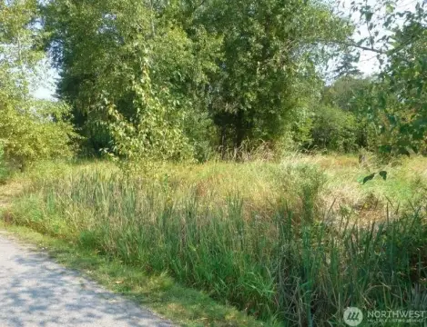 Vacant Land Near College Way