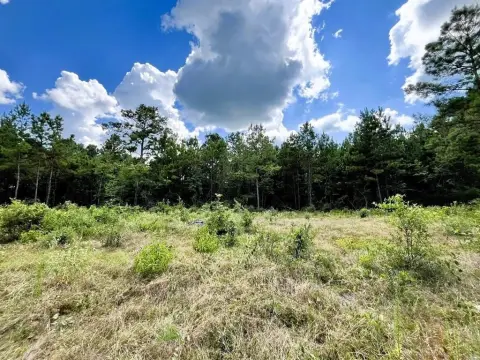 Unrestricted Wooded Land Near Lakes