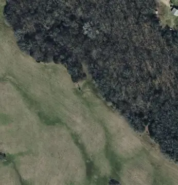 Secluded Wooded Land Near Bonham, TX