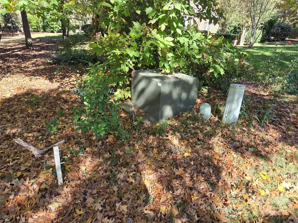 Picture 18