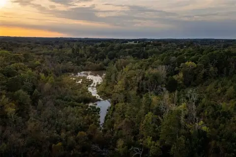 East Texas Land with Water