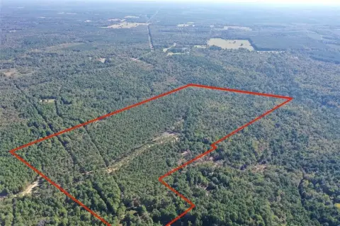 Mixed Timber Tract in Linden, TX