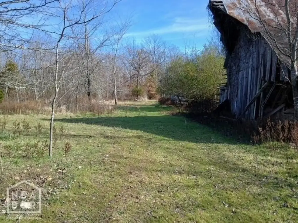 Picture 14
