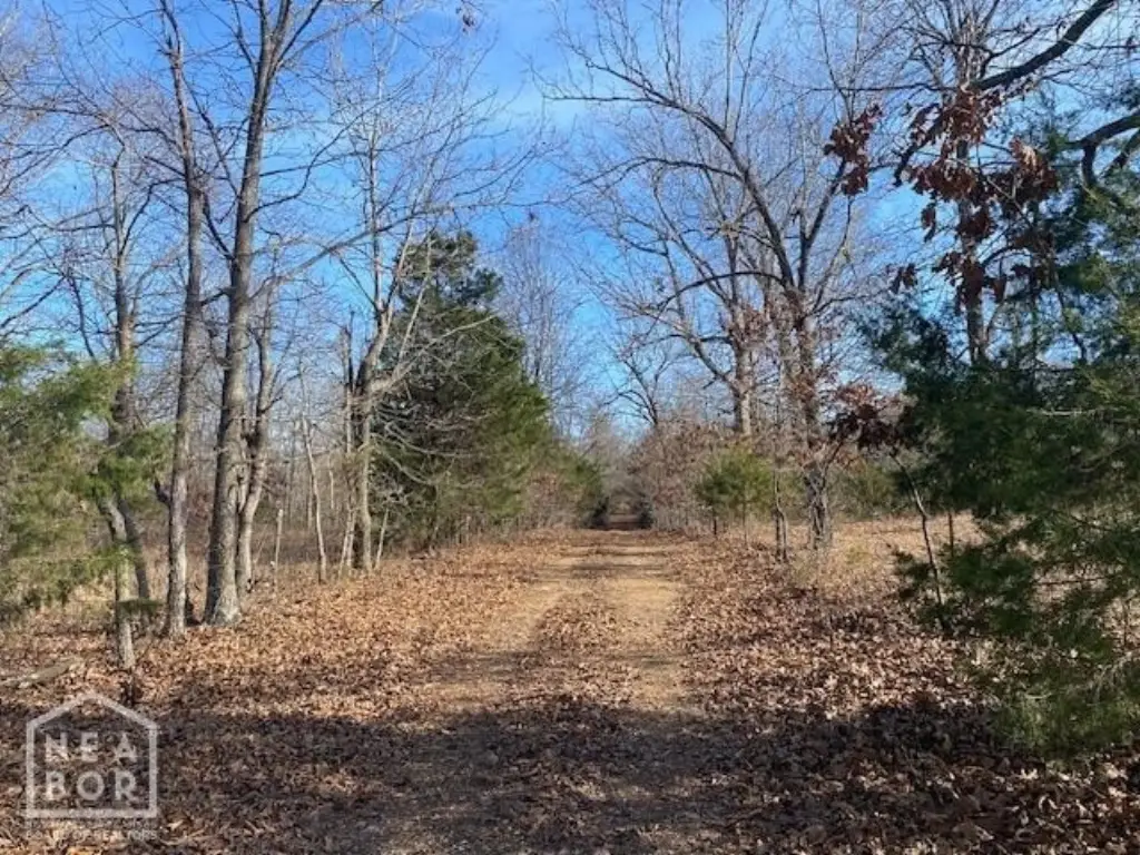 Picture 15
