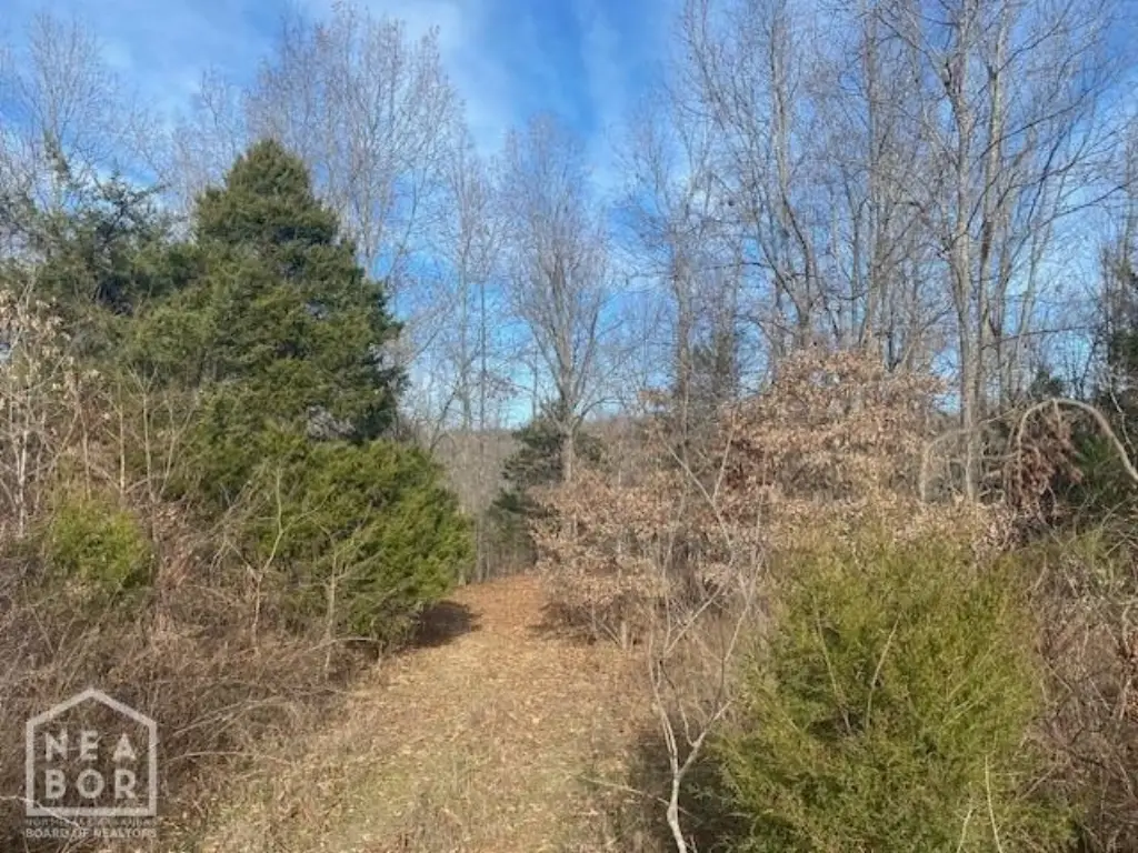 Picture 19