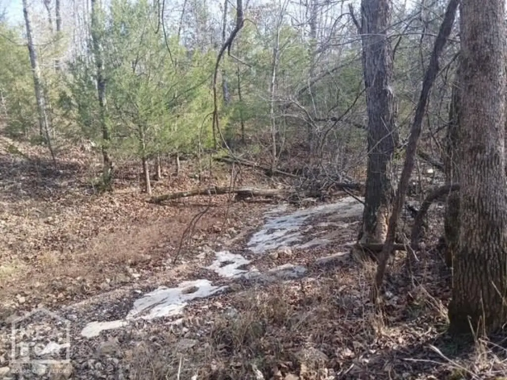 Picture 8