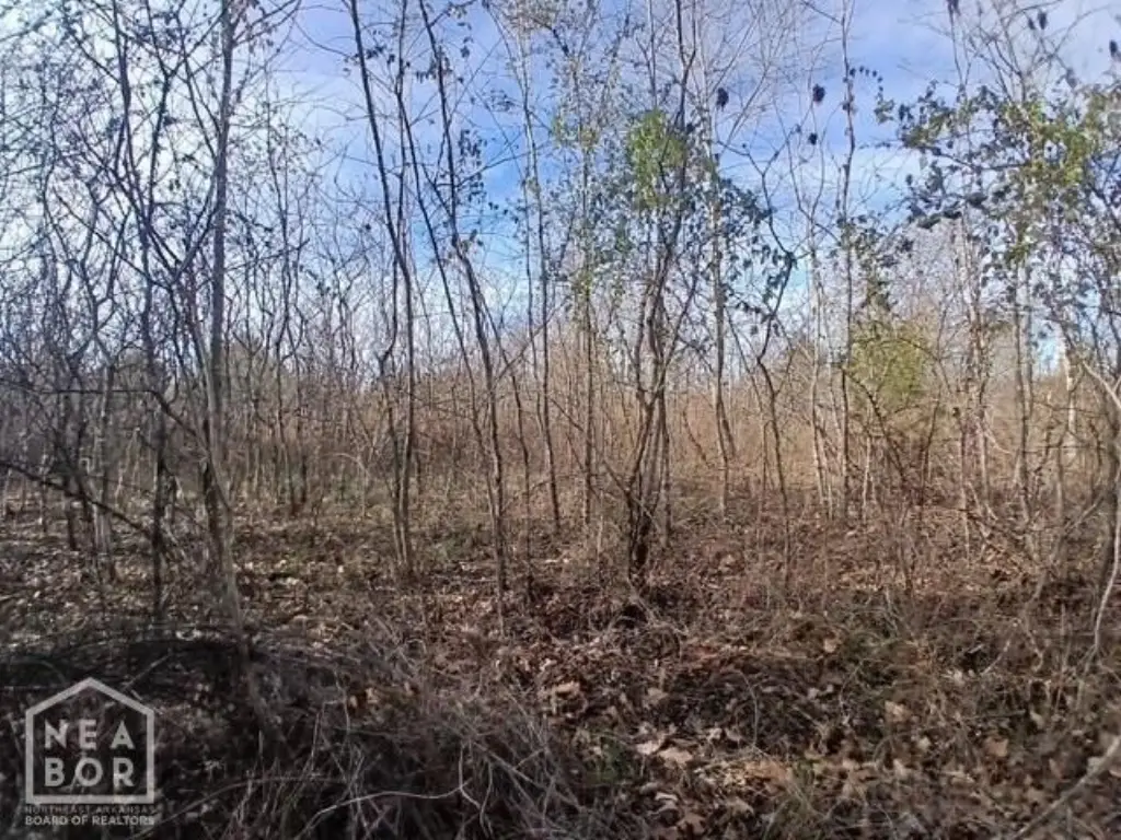 Picture 9