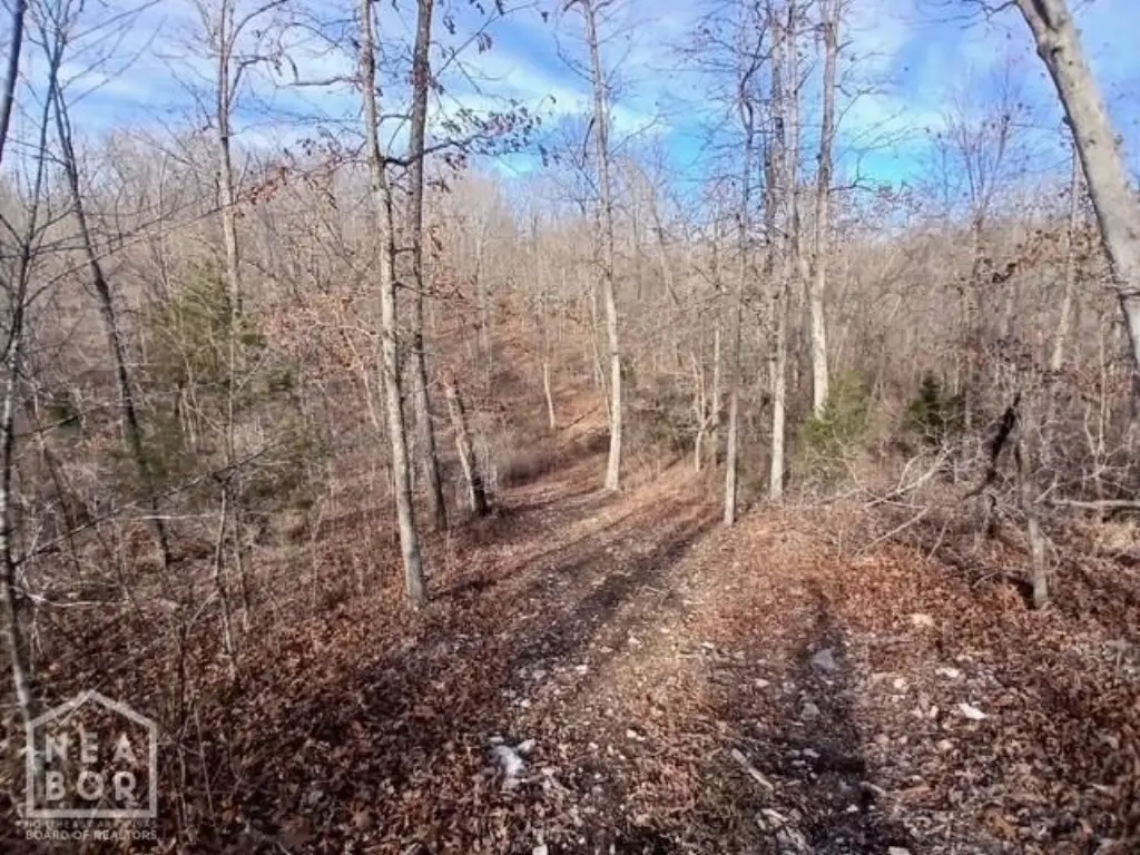 Picture 5