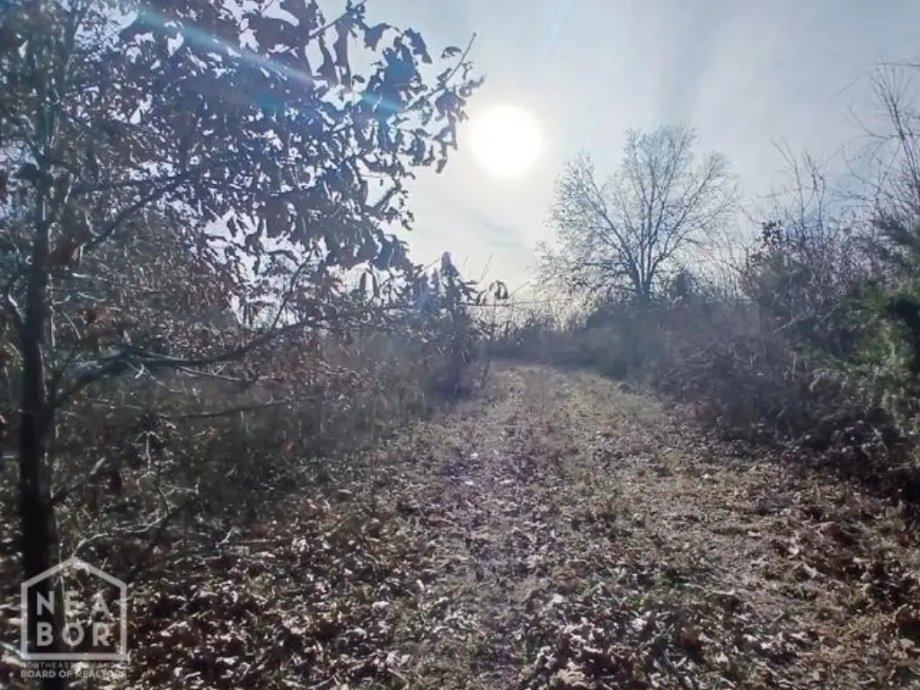 Picture 8