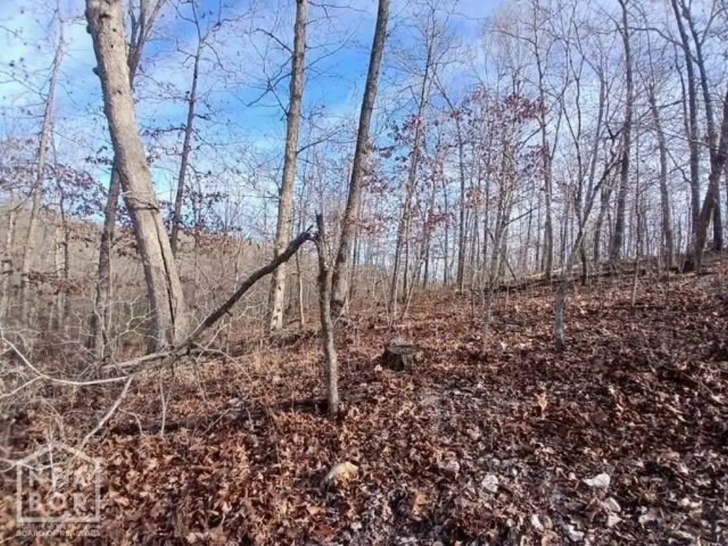 Picture 4